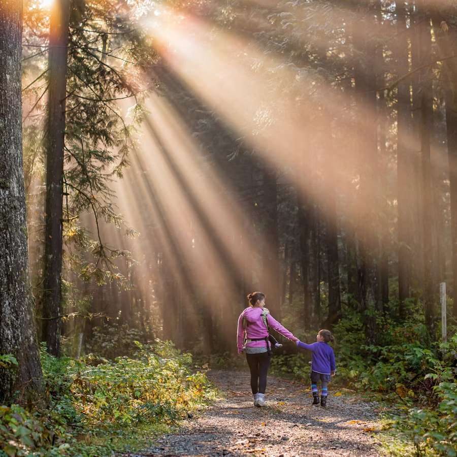 ped-neuro-center-atlanta-GA-forest-trail